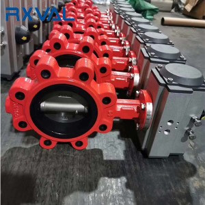 Rapid Delivery for China Flanged Concentric Butterfly Valve with Gear Operator
