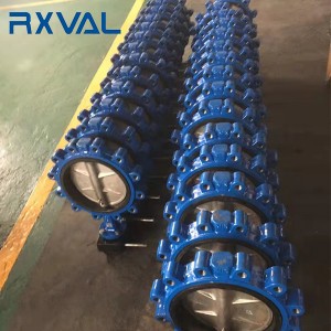 Rapid Delivery for China Flanged Concentric Butterfly Valve with Gear Operator