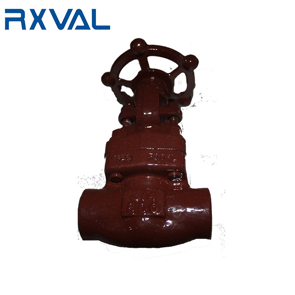 China wholesale Cast Steel Gate Valves Factory –  API 602 Forged Steel Globe Valve NPT/BW/SW – Ruixin Valve