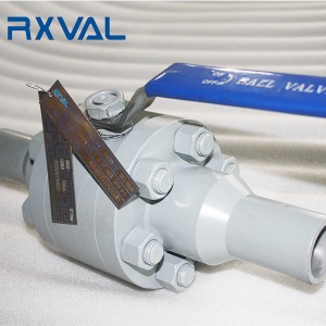 2019 wholesale price China API 6D Industrial Flange or Wafer Cast Iron or Forged Stainless Steel Ball or Swing Check Valve
