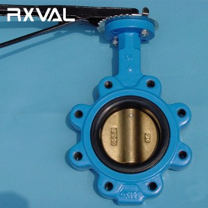 Rapid Delivery for China Flanged Concentric Butterfly Valve with Gear Operator